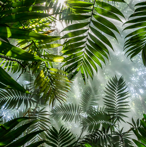 Escape to Nature Special